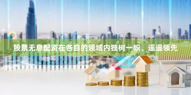 股票无息配资在各自的领域内独树一帜、遥遥领先