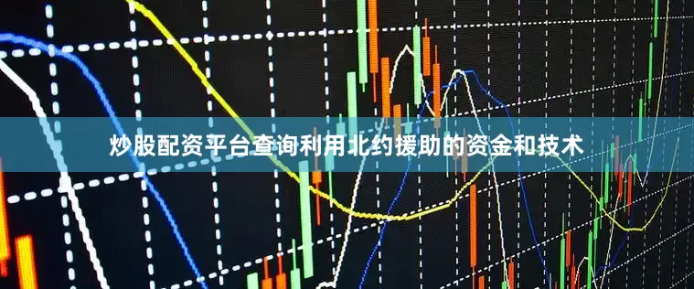 炒股配资平台查询利用北约援助的资金和技术