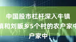 中国股市杠杆深入牛镇镇和刘畈乡5个村的农户家中