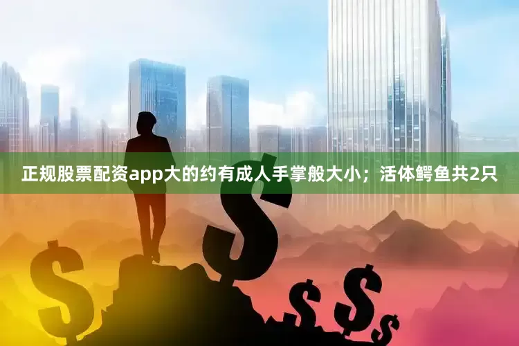 正规股票配资app大的约有成人手掌般大小；活体鳄鱼共2只