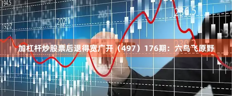 加杠杆炒股票后退得宽广开（497）　　176期：六鸟飞原野