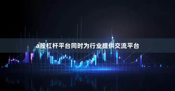 a股杠杆平台同时为行业提供交流平台