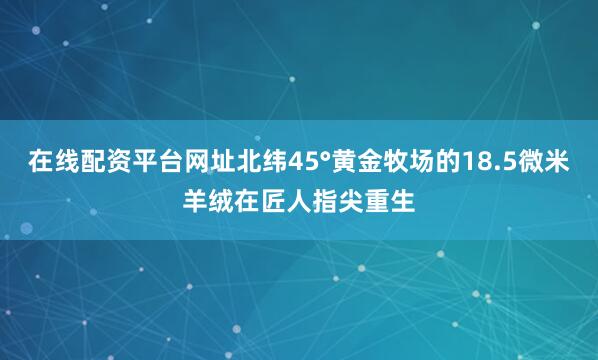 在线配资平台网址北纬45°黄金牧场的18.5微米羊绒在匠人指尖重生